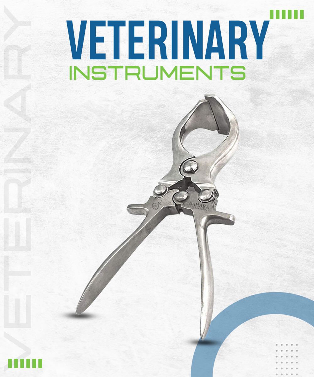 veterinary-cat